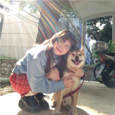 军犬麦斯2：白宫英雄